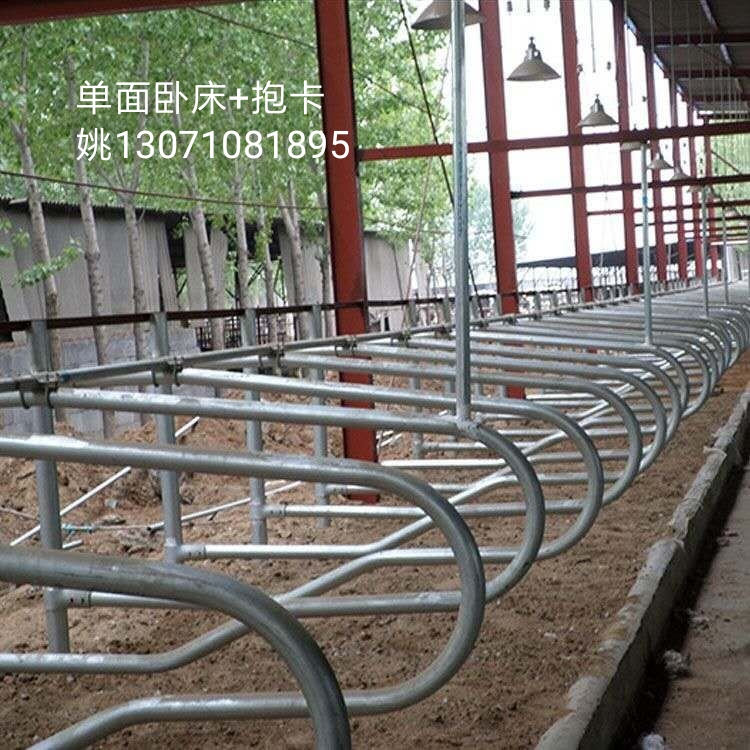 单面卧床.jpg