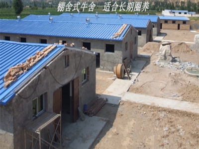 新建牛舍现场视频