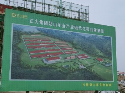 宝鸡千阳县：以奶山羊产业链发展助力乡村振兴