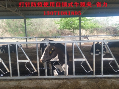 单开牛颈枷和双开牛颈枷如何选择