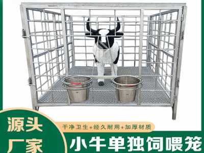 兽医指南：分隔式犊牛笼，哺育下一代健康牛群的关键