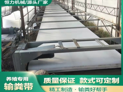 为什么羊场带式清粪机是当代牧场管理的新宠