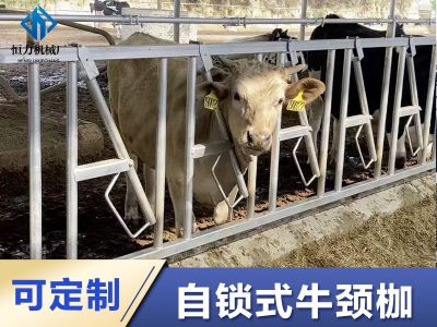 安装热镀锌牛颈夹时常见的五个错误