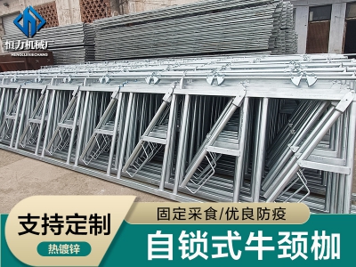 安装自锁式牛颈枷需要注意的几点