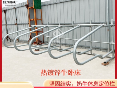 牛卧床在养殖业中发挥的作用
