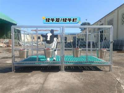 犊牛笼的清洁与维护注意事项