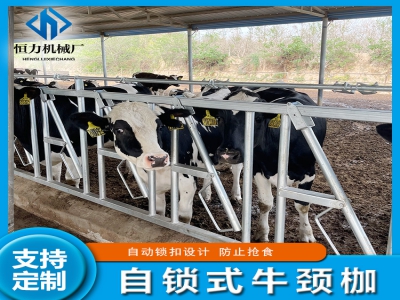 牛颈枷适用各种牛只的利器