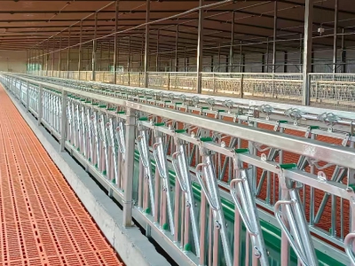 自锁式羊颈夹与普通羊颈夹相比，在实际养殖作业中的优势