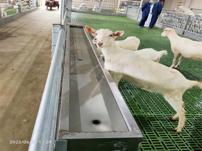 北方牧原牧场：冬季牛羊饮水难题的破局者